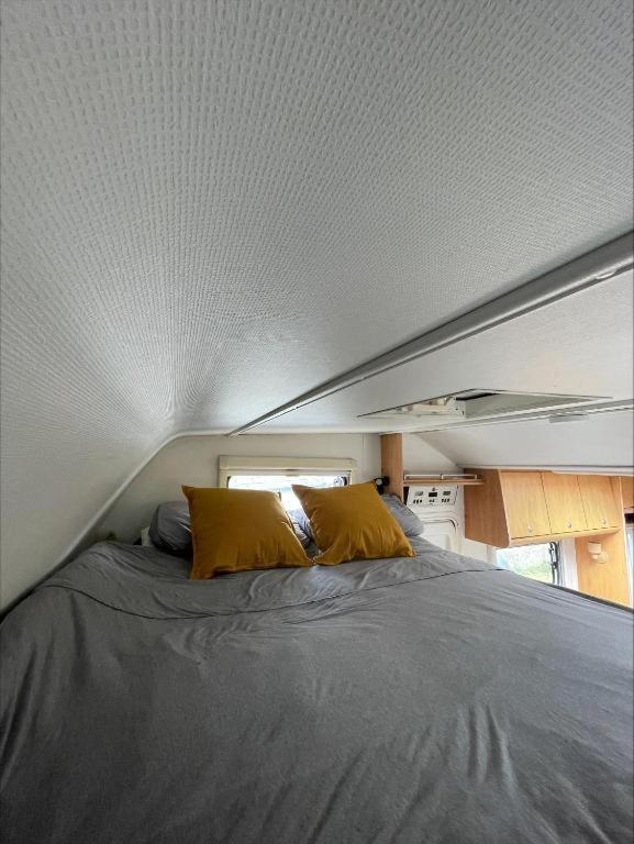 The Cosy Camper At Rockfield Park Hotel Galway Kültér fotó